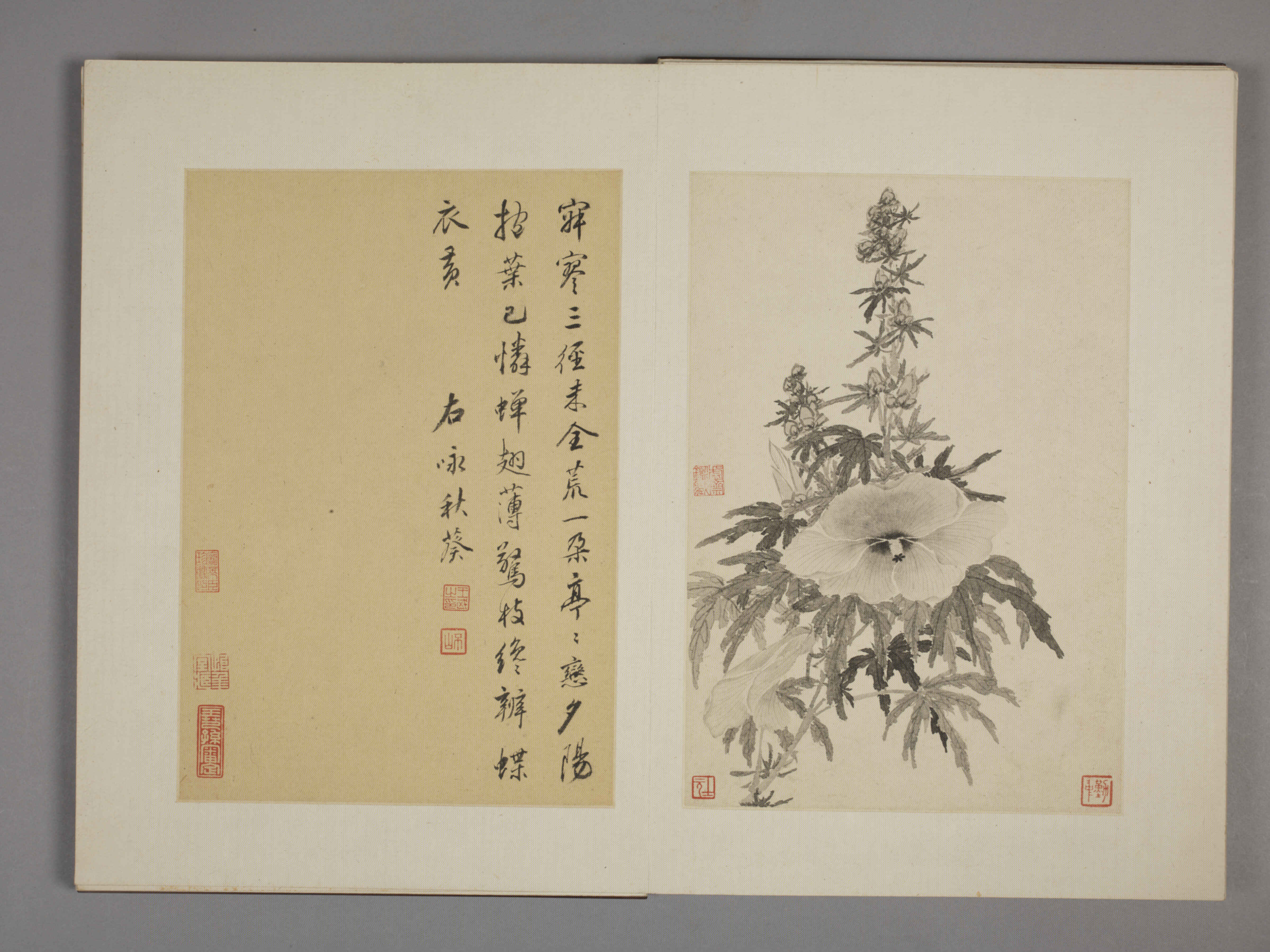 清·王武花卉册九开故宫博物院高清中国古画下载